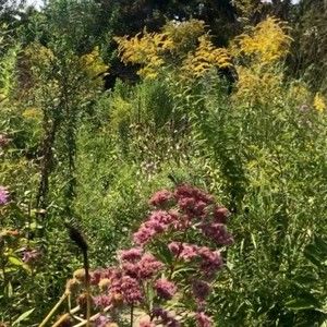 Meet your Posher, Michaela